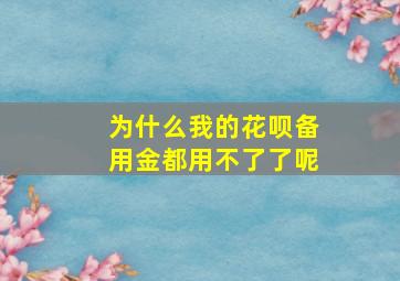 为什么我的花呗备用金都用不了了呢