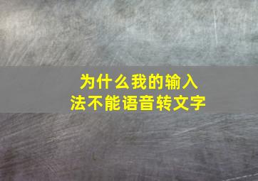 为什么我的输入法不能语音转文字