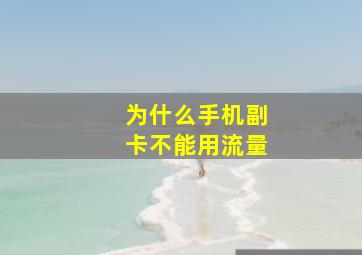 为什么手机副卡不能用流量