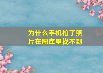 为什么手机拍了照片在图库里找不到