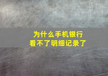 为什么手机银行看不了明细记录了