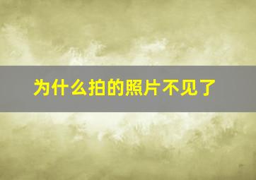 为什么拍的照片不见了