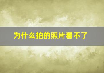 为什么拍的照片看不了