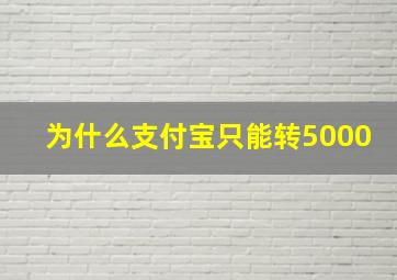 为什么支付宝只能转5000