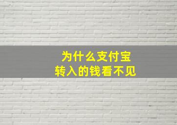 为什么支付宝转入的钱看不见