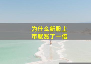 为什么新股上市就涨了一倍