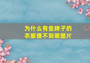 为什么有些牌子的衣服搜不到呢图片