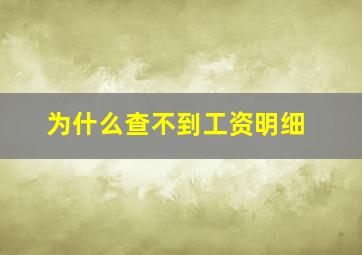 为什么查不到工资明细