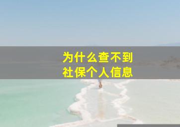 为什么查不到社保个人信息