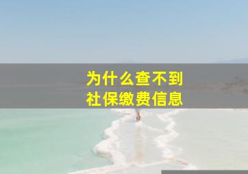 为什么查不到社保缴费信息