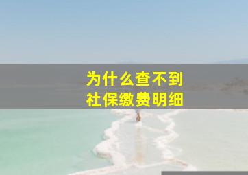 为什么查不到社保缴费明细