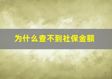 为什么查不到社保金额