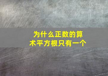 为什么正数的算术平方根只有一个