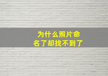 为什么照片命名了却找不到了