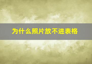 为什么照片放不进表格