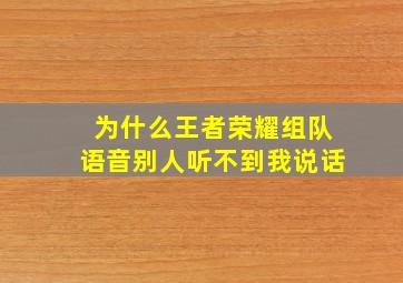 为什么王者荣耀组队语音别人听不到我说话