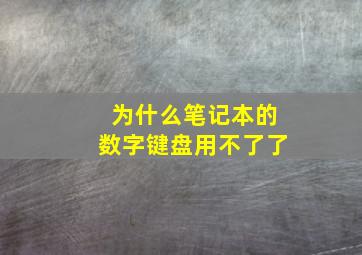 为什么笔记本的数字键盘用不了了