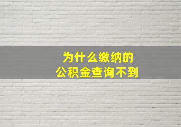 为什么缴纳的公积金查询不到