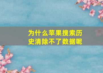 为什么苹果搜索历史清除不了数据呢