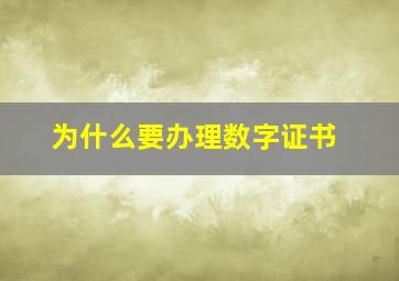 为什么要办理数字证书