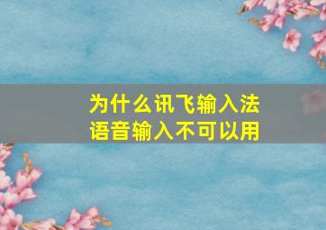 为什么讯飞输入法语音输入不可以用