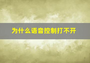 为什么语音控制打不开