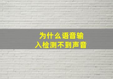 为什么语音输入检测不到声音