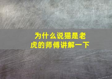 为什么说猫是老虎的师傅讲解一下