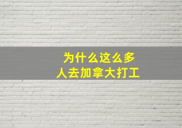 为什么这么多人去加拿大打工