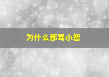 为什么都骂小智