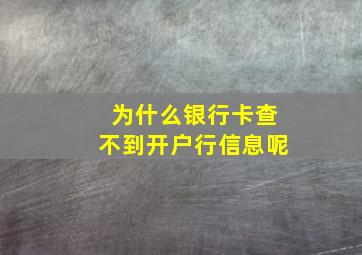 为什么银行卡查不到开户行信息呢