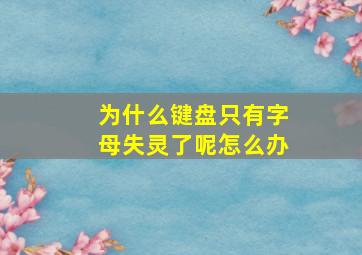 为什么键盘只有字母失灵了呢怎么办