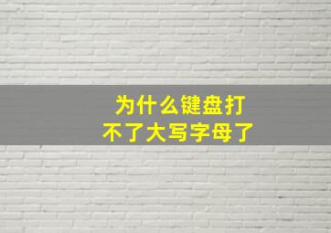 为什么键盘打不了大写字母了