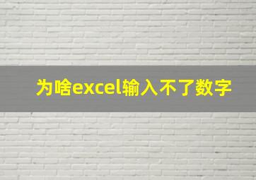 为啥excel输入不了数字