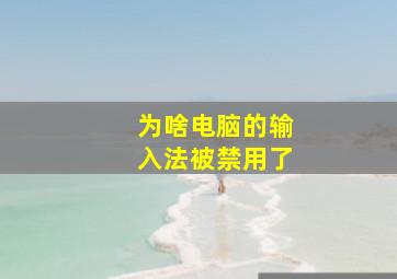 为啥电脑的输入法被禁用了