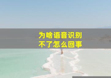 为啥语音识别不了怎么回事