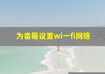 为音箱设置wi一fi网络