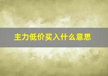 主力低价买入什么意思