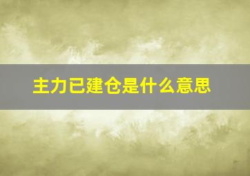 主力已建仓是什么意思