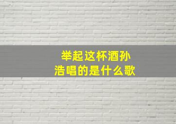 举起这杯酒孙浩唱的是什么歌