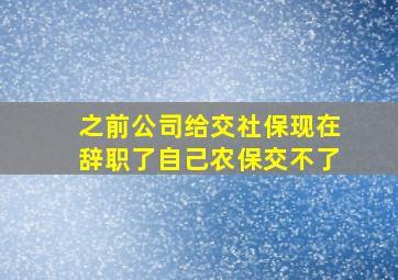 之前公司给交社保现在辞职了自己农保交不了