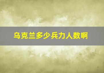 乌克兰多少兵力人数啊