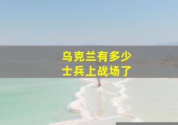 乌克兰有多少士兵上战场了