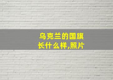 乌克兰的国旗长什么样,照片