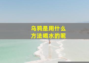 乌鸦是用什么方法喝水的呢