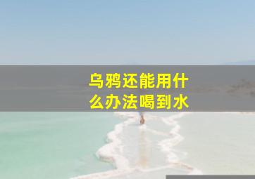 乌鸦还能用什么办法喝到水