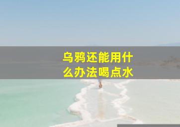 乌鸦还能用什么办法喝点水