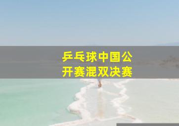 乒乓球中国公开赛混双决赛