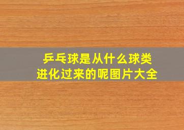 乒乓球是从什么球类进化过来的呢图片大全