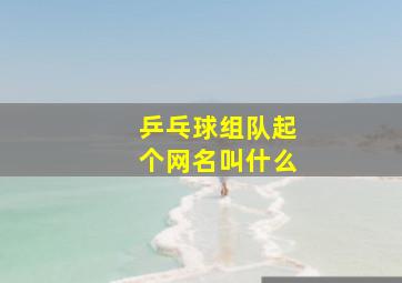 乒乓球组队起个网名叫什么